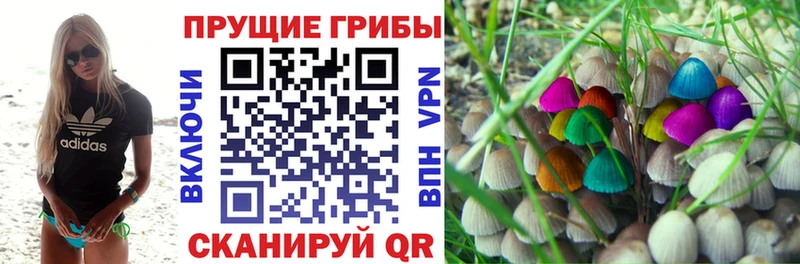 Галлюциногенные грибы Magic Shrooms  наркота  Сковородино 