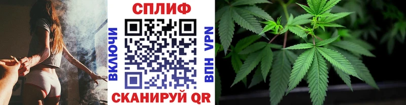 Конопля индика  закладки  Сковородино 